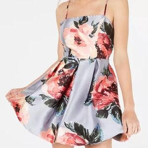 Crystal Doll Gray and Red Dress